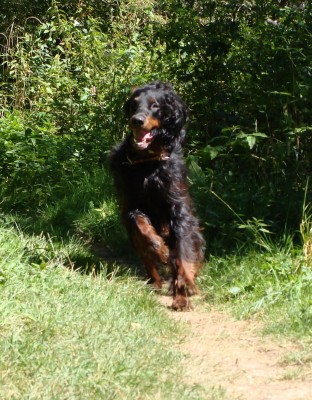 unser Schotte